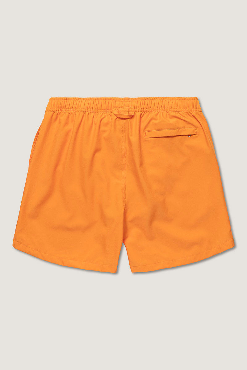 Classic Shorts Solid