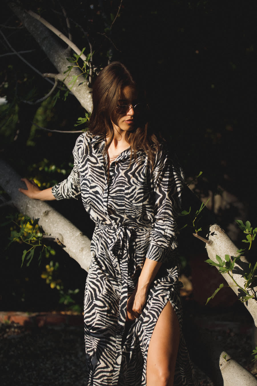 Zebra Ismene Dress