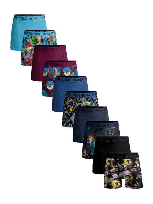 1010 10pk boxer print/solid 22